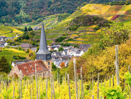 Wandern im Ahrtal: Entdecke die schönsten Routen zwischen Weinbergen und Wiederaufbau