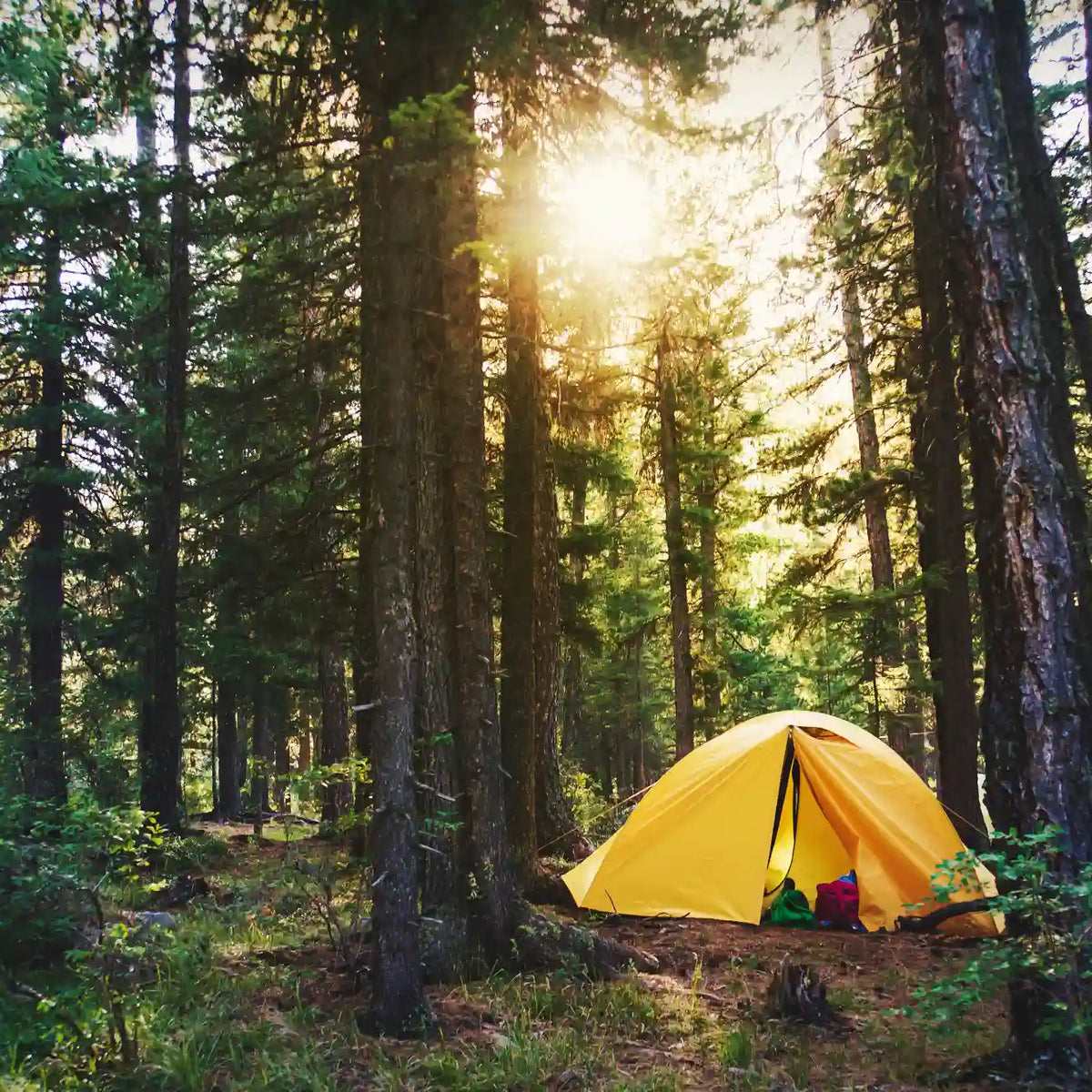 Wild Camping Germany