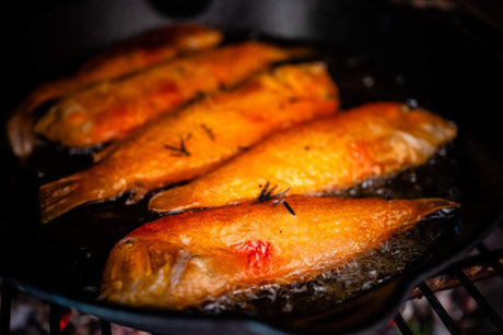 Menorca Raor Fisch in der Petromax Pfanne