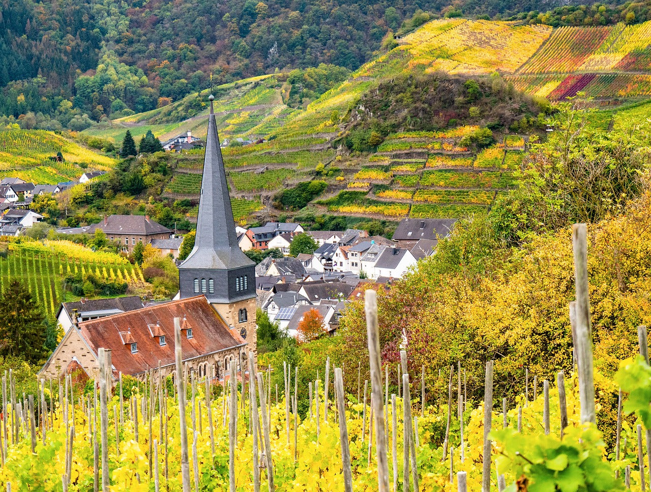 Hiking in the Ahr Valley: routes, Ahrsteig & red wine hiking trail
