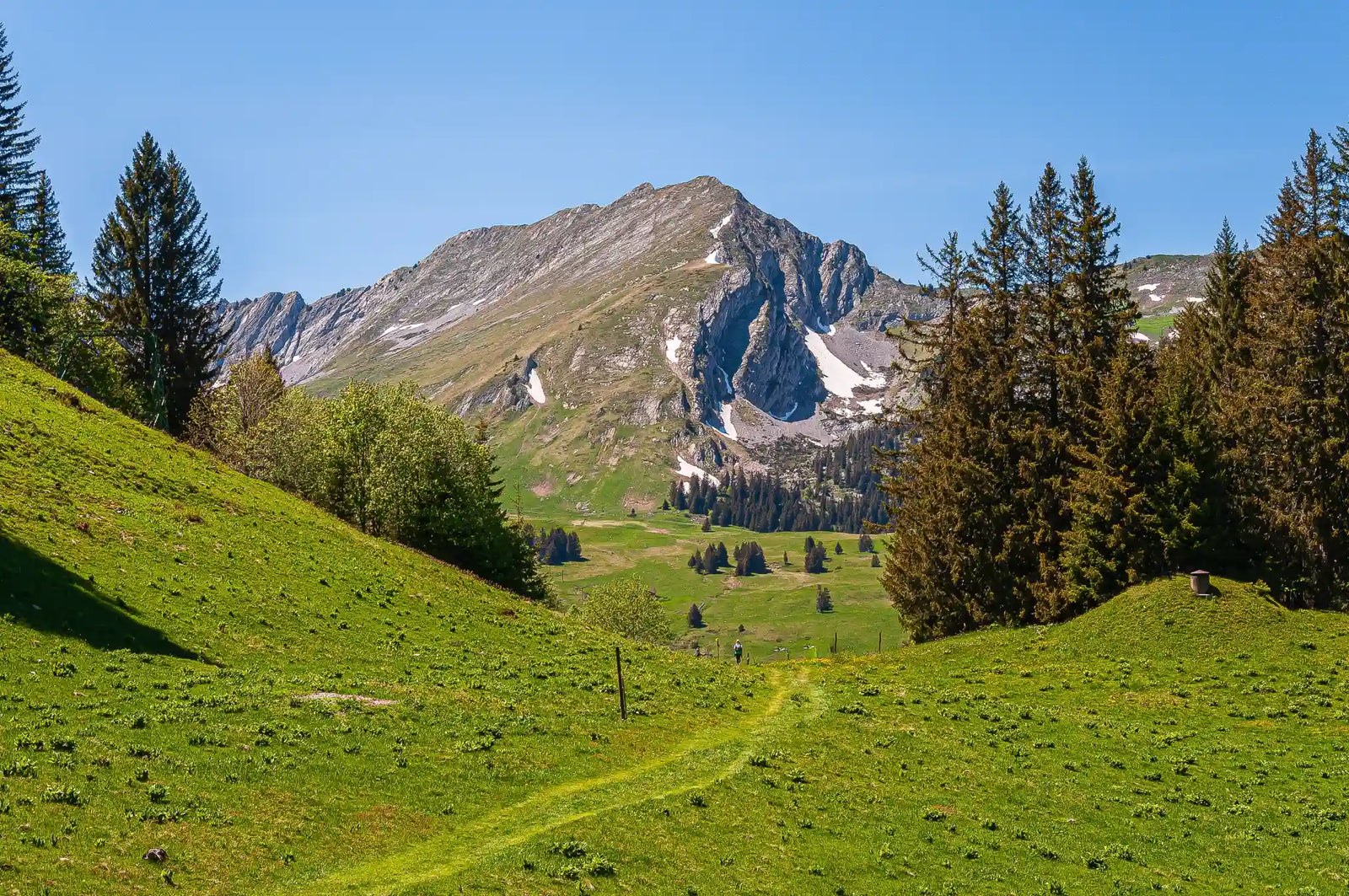 Wandern im Allgäu: Die schönsten Wanderwege für unvergessliche Allgäuer Wanderungen