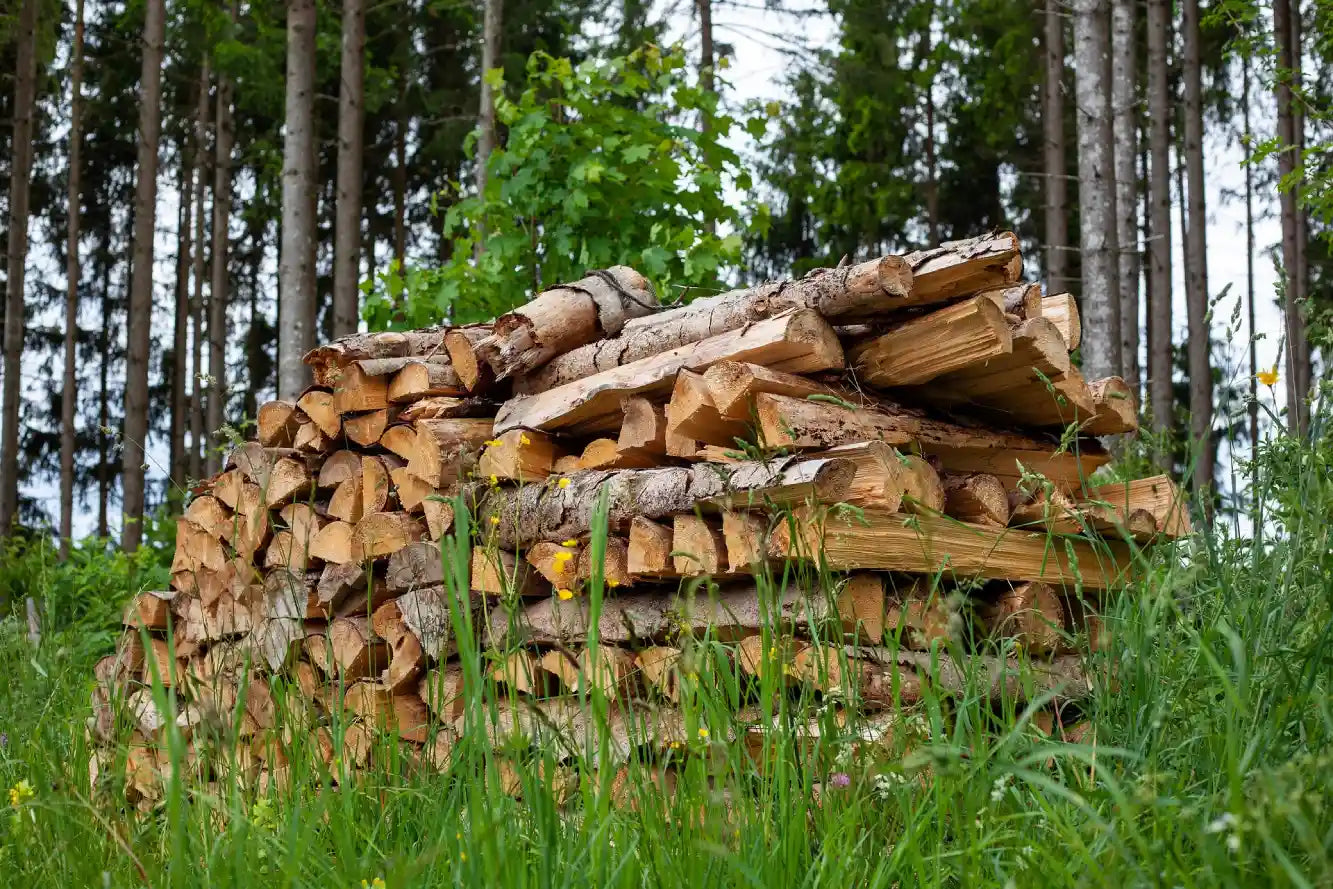Brennholz für Lagerfeuer und Feuerschale: Welches Holz wirklich zählt