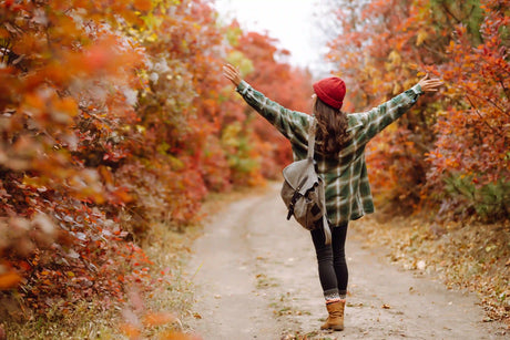 Die schönsten Herbstwanderungen: Golden leuchtende Touren für unvergessliche Erlebnisse