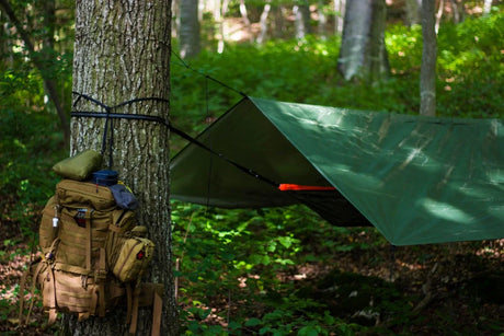 Zelt oder Tarp: Vor- und Nachteile - Was ist die richtige Wahl beim Camping?