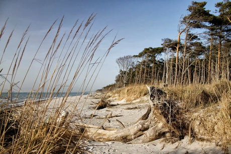 Abenteuer entlang der blauen Küste: Der Ostseeküsten-Wanderweg E9