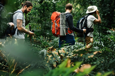 Nachhaltig wandern: 7 Tipps für echte Naturliebhaber