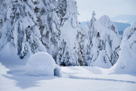 Bauanleitung: Iglu selbst bauen