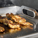 Plancha Plaque à griller Gastisch