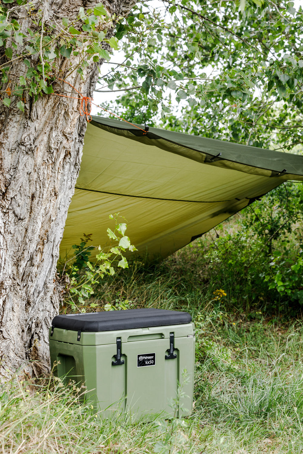 Cool Box KX50 incl. Seat Cushion, Basket & Divider, olivcool